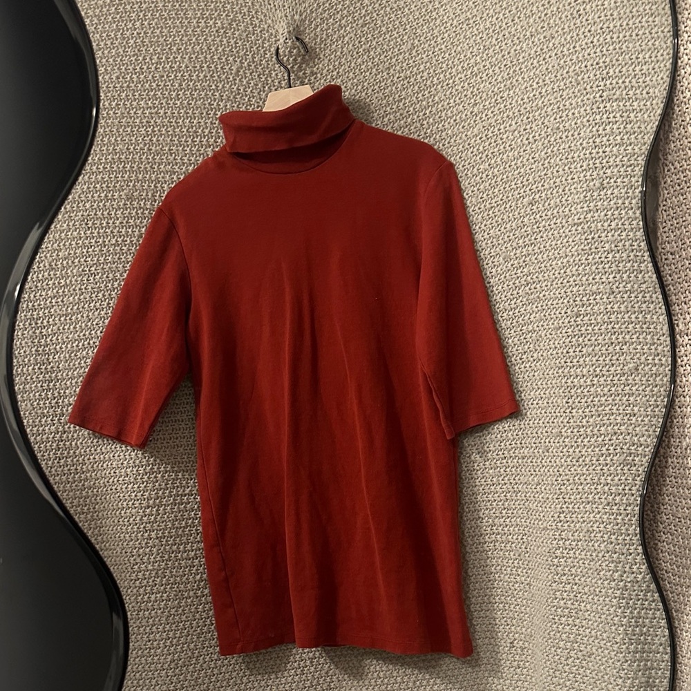 Zara Turtleneck Dress